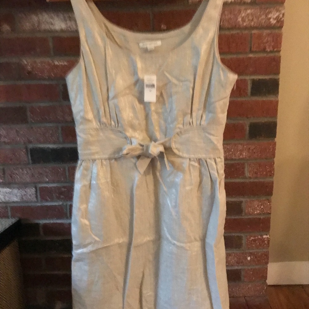 NWT Banana Republic midi dress size 12